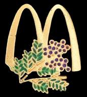 Mandelieu: Mimosa (254)