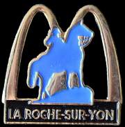 La Roche-sur-Yon (201)