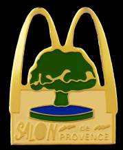 Salon de Provence (451)